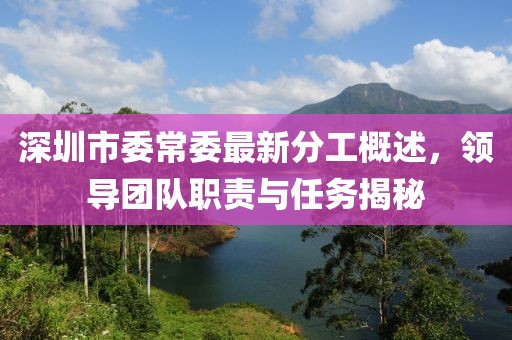 深圳市委常委最新分工概述，領(lǐng)導(dǎo)團(tuán)隊職責(zé)與任務(wù)揭秘