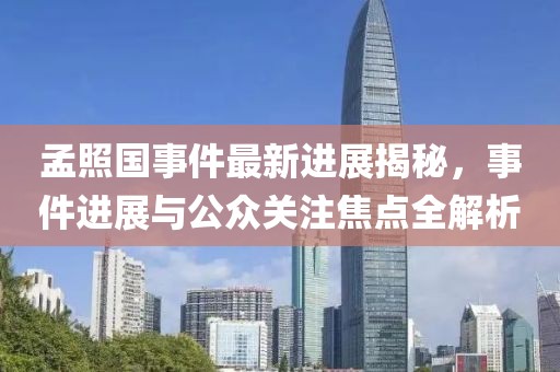 孟照國事件最新進(jìn)展揭秘，事件進(jìn)展與公眾關(guān)注焦點(diǎn)全解析