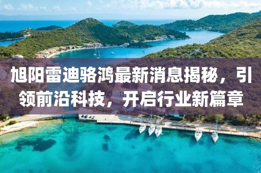 旭陽雷迪駱鴻最新消息揭秘，引領前沿科技，開啟行業(yè)新篇章