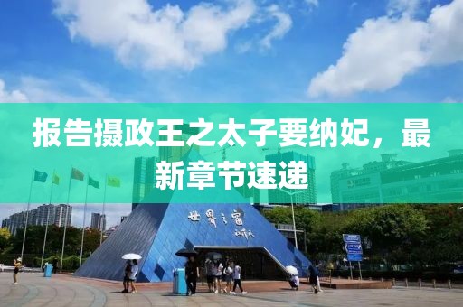 報告攝政王之太子要納妃，最新章節(jié)速遞