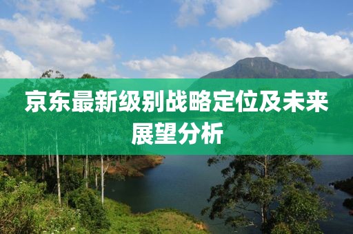 京東最新級(jí)別戰(zhàn)略定位及未來(lái)展望分析